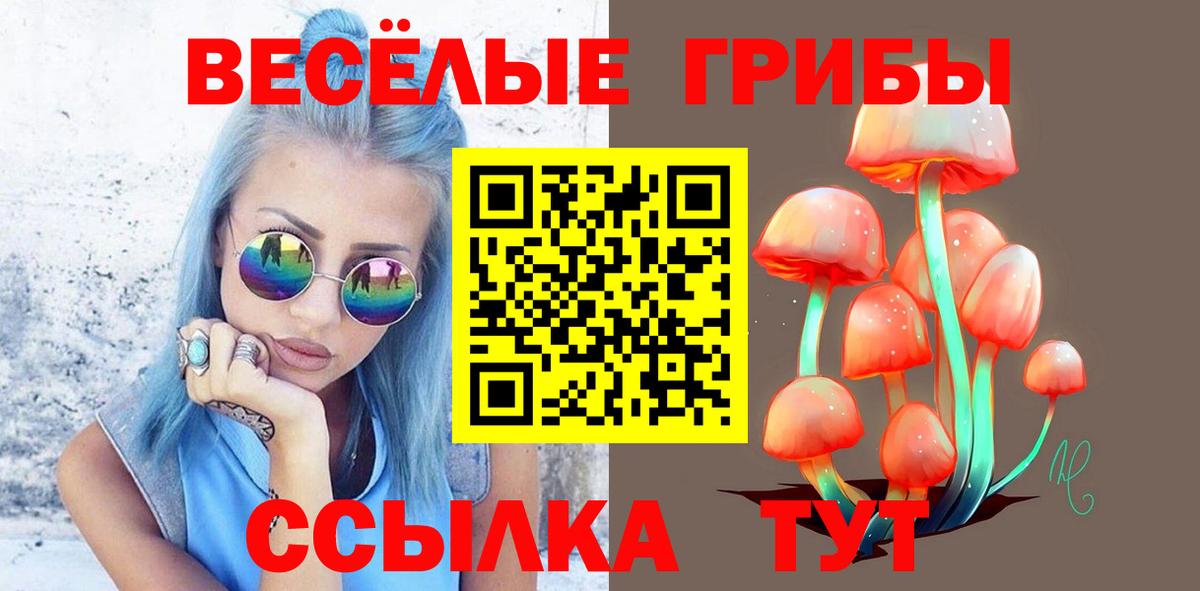 Псилоцибиновые грибы прущие грибы Фурманов